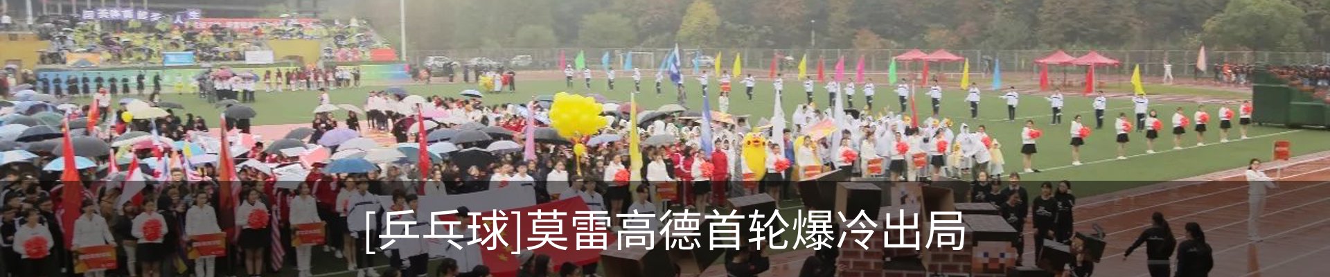 新闻动态